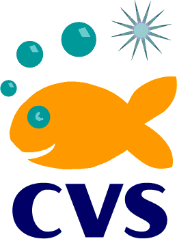 My projects structure and public cvs