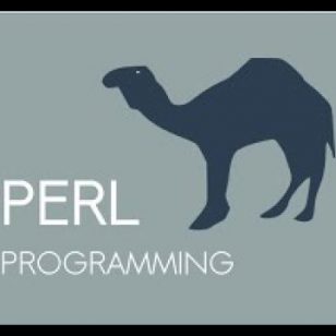 Google, Perl, Java y otras lindezas