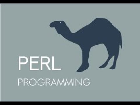 Google, Perl, Java y otras lindezas